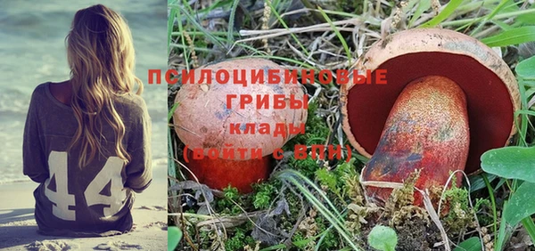 PSILOCYBIN Нефтекумск