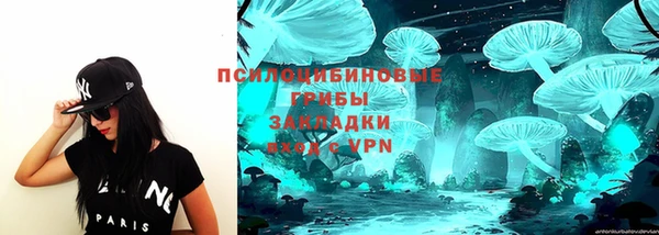 PSILOCYBIN Нефтекумск