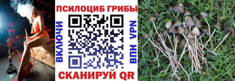 Псилоцибиновые грибы прущие грибы  Купить где  Полесск 
